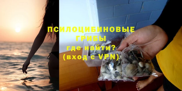 ПСИЛОЦИБИНОВЫЕ ГРИБЫ Нягань