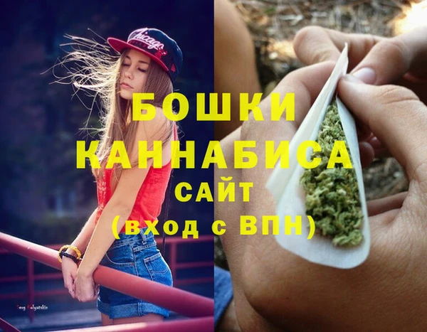 спиды Няндома