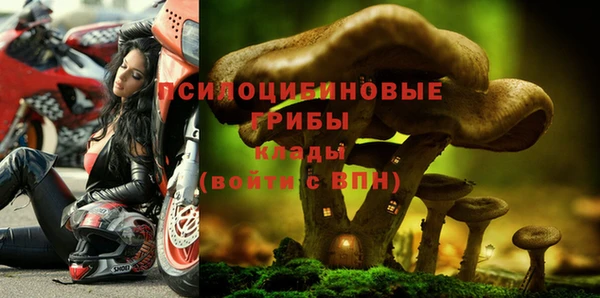 mdpv Нязепетровск