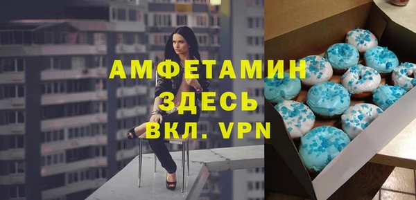 прущие грибы Новозыбков