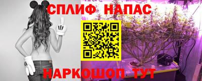 apvp Гусиноозёрск