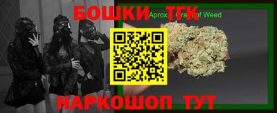 apvp Гусиноозёрск