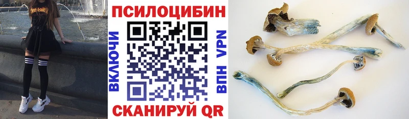 mega маркетплейс Куйбышев Галлюциногенные грибы Magic Shrooms