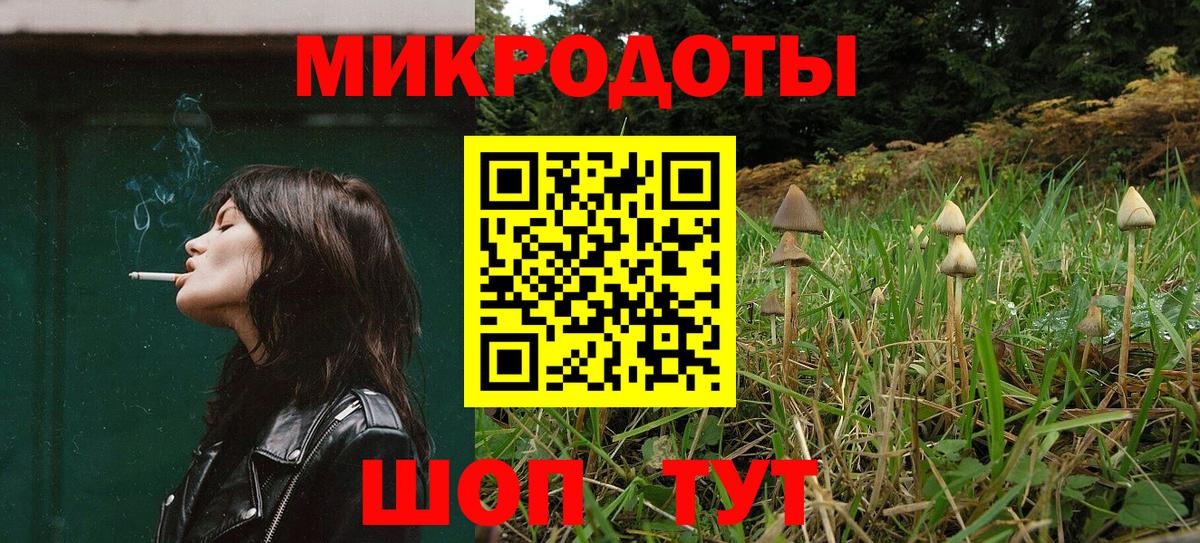 Псилоцибиновые грибы Cubensis Куйбышев