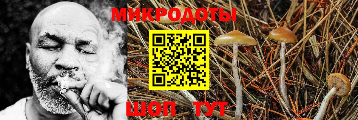 Галлюциногенные грибы GOLDEN TEACHER  Галлюциногенные грибы мицелий  Вход с VPN  Куйбышев 